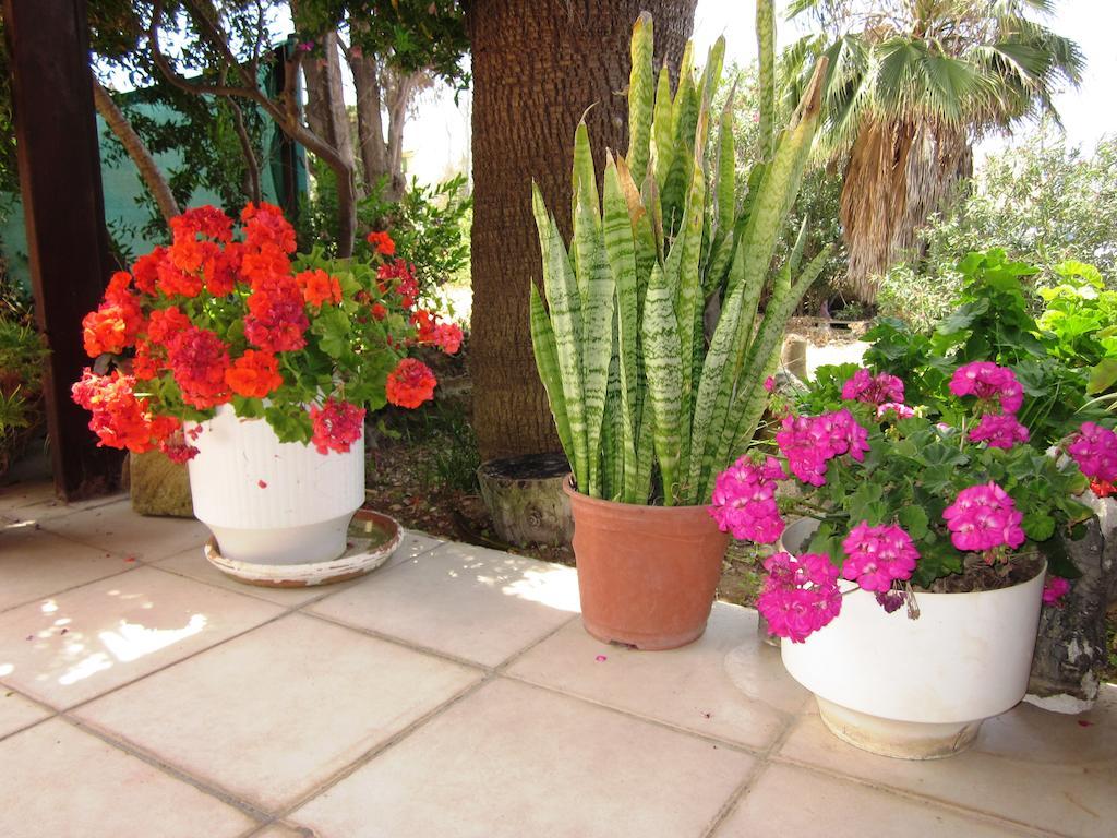 Georgia Apartments Paphos Buitenkant foto