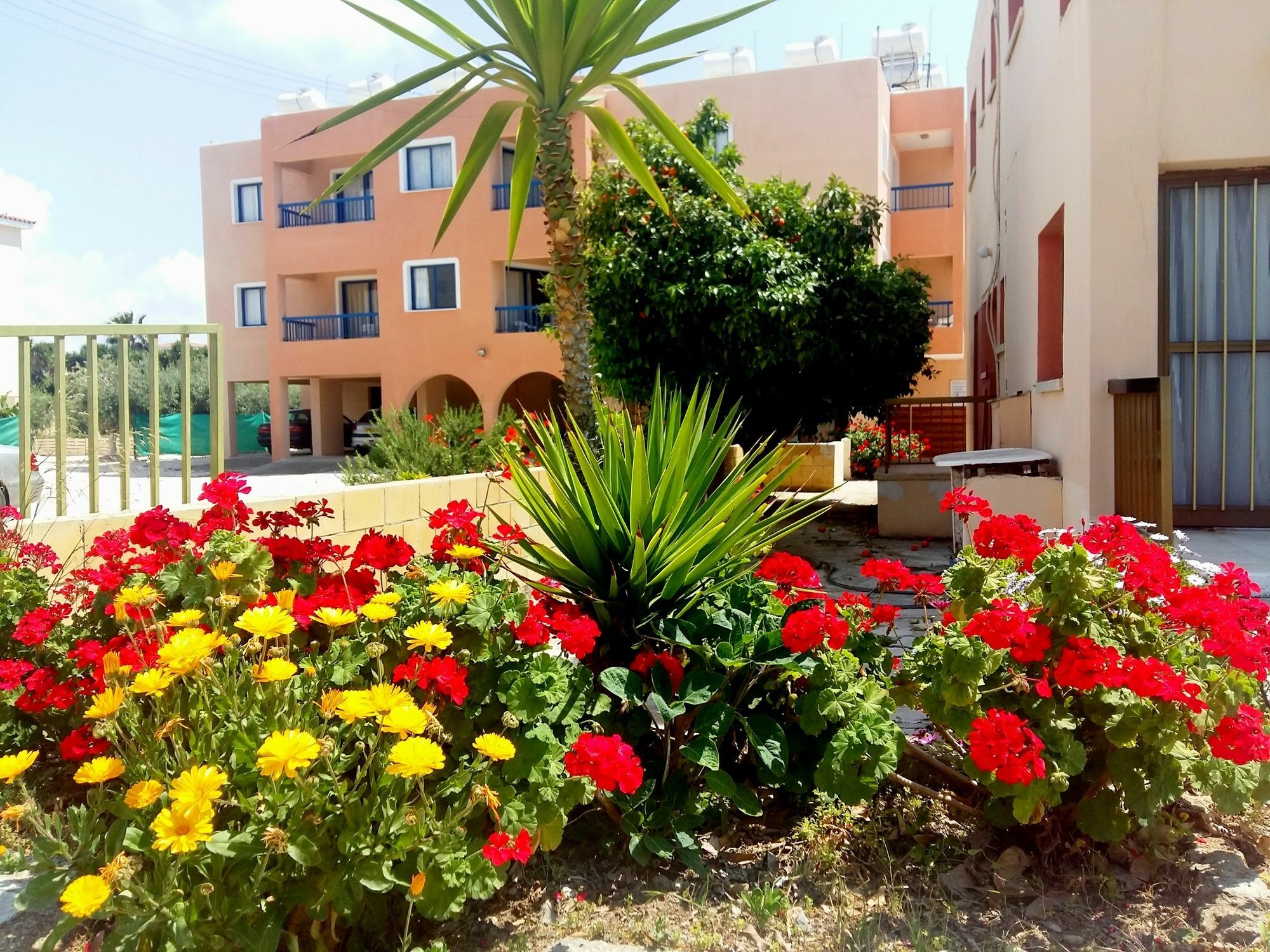 Georgia Apartments Paphos Buitenkant foto