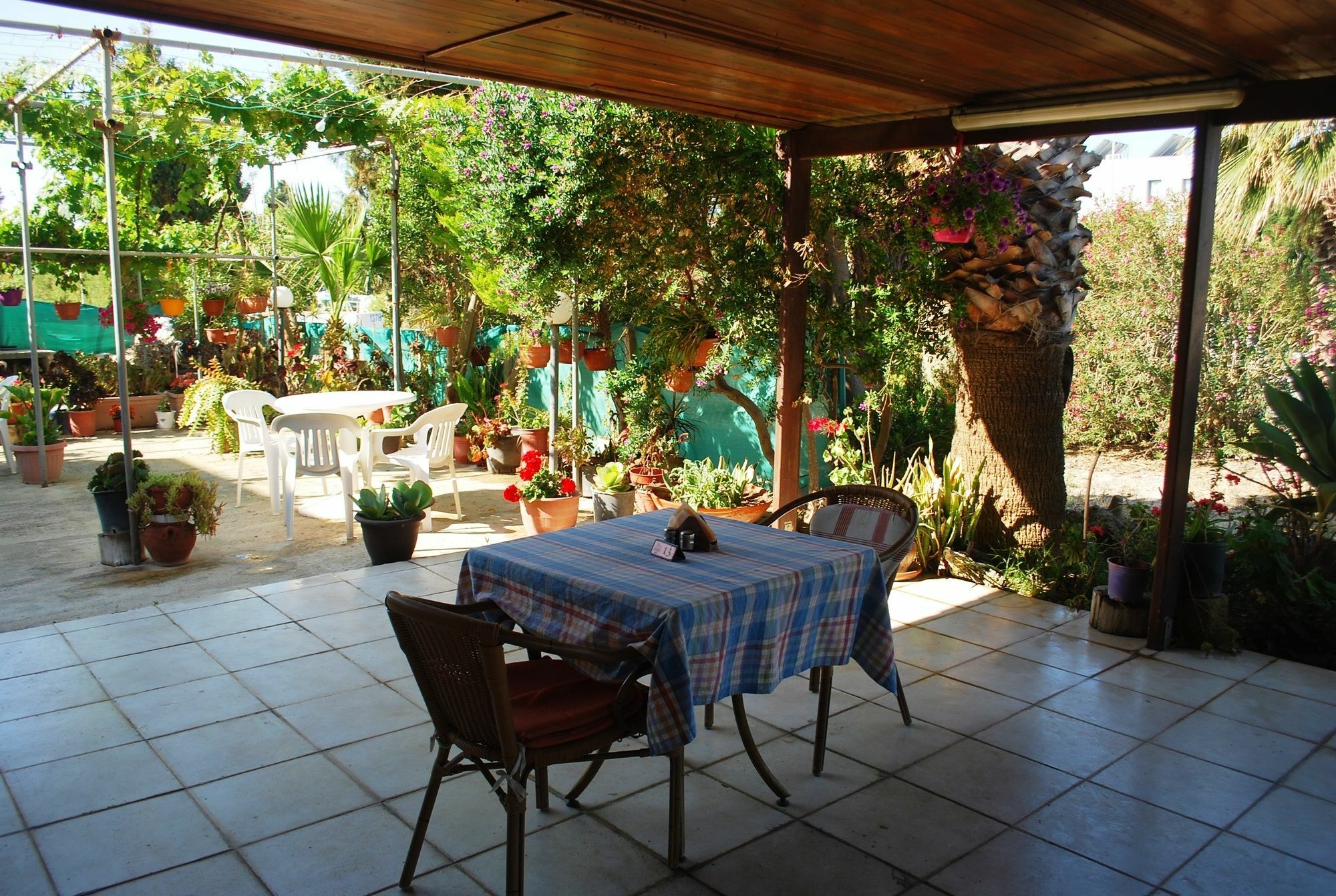 Georgia Apartments Paphos Buitenkant foto